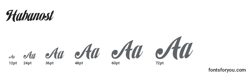 Habanost Font Sizes