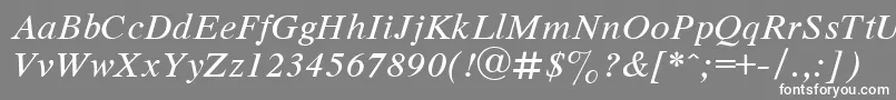 フォントDutchItalic – 灰色の背景に白い文字