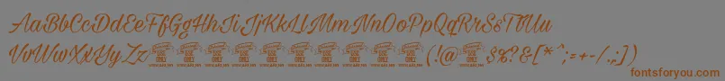Milasiancircamediumpersonal Font – Brown Fonts on Gray Background