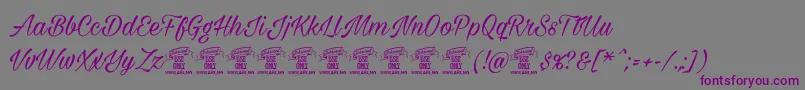 Weitere Informationen zur Milasiancircamediumpersonal-Schriftart Milasiancircamediumpersonal-Schriftart – Violette Schriften auf grauem Hintergrund