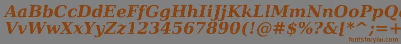 Dejavuserif Bolditalic Font – Brown Fonts on Gray Background