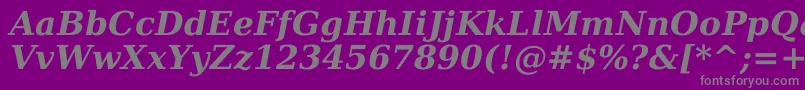 Dejavuserif Bolditalic Font – Gray Fonts on Purple Background