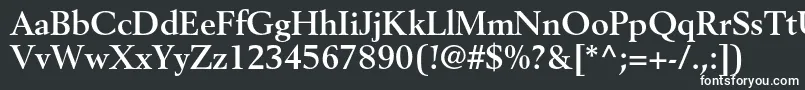 フォントBerlingltstdBold – 白い文字