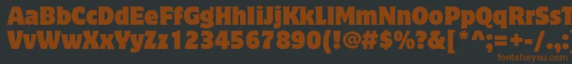 Шрифт MottercorpusstdSemicond – коричневые шрифты на чёрном фоне