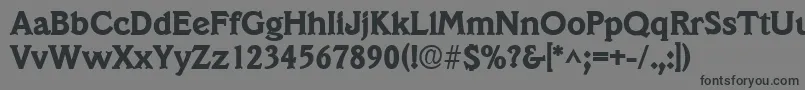 VeracruzlhBold Font – Black Fonts on Gray Background