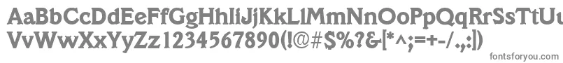 VeracruzlhBold Font – Gray Fonts on White Background