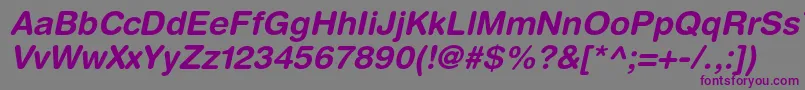 HelveticaroundedltstdBdo Font – Purple Fonts on Gray Background