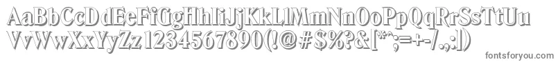 DenvershadowXboldRegular Font – Gray Fonts on White Background