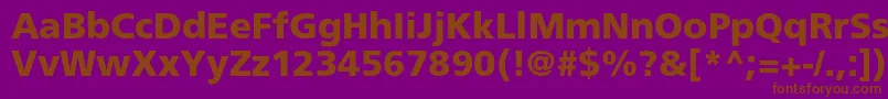 AgforeignercBold Font – Brown Fonts on Purple Background