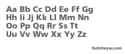 Review of the AgforeignercBold Font