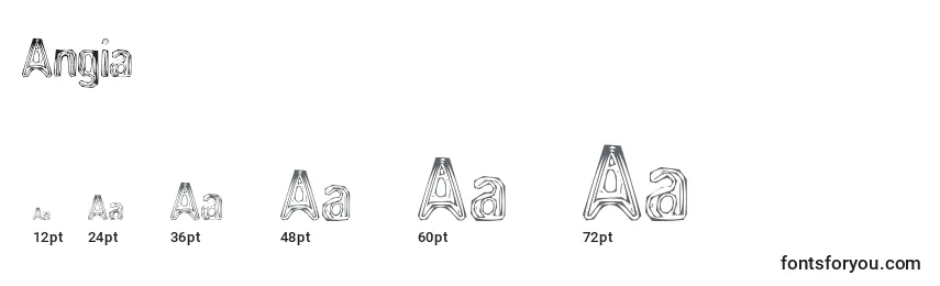 Размеры шрифта Angia