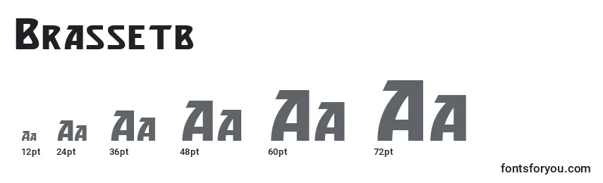 Brassetb Font Sizes