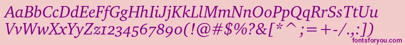 CharteroscItalic Font – Purple Fonts on Pink Background
