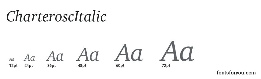 Размеры шрифта CharteroscItalic