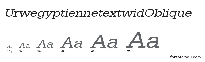 Размеры шрифта UrwegyptiennetextwidOblique