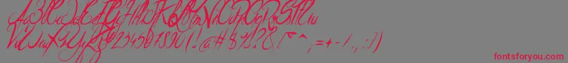 ElegantDragonItalic-fontti – punaiset fontit harmaalla taustalla