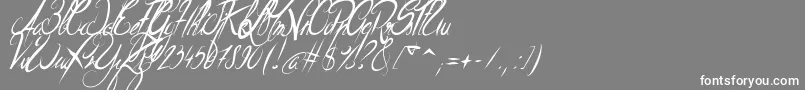 ElegantDragonItalic Font – White Fonts on Gray Background