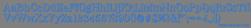 WichitashadowMediumRegular Font – Blue Fonts on Gray Background