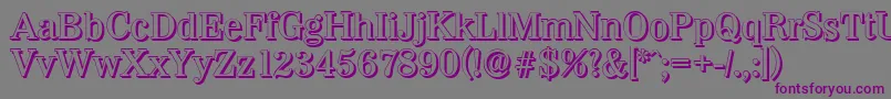 WichitashadowMediumRegular Font – Purple Fonts on Gray Background