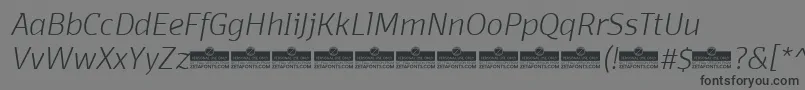 DomotikaExtralightItalicTrial Font – Black Fonts on Gray Background