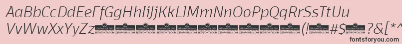 DomotikaExtralightItalicTrial Font – Black Fonts on Pink Background
