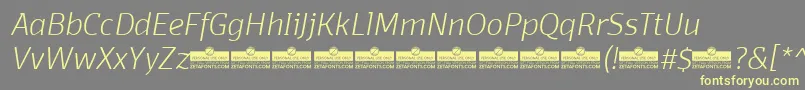 DomotikaExtralightItalicTrial Font – Yellow Fonts on Gray Background