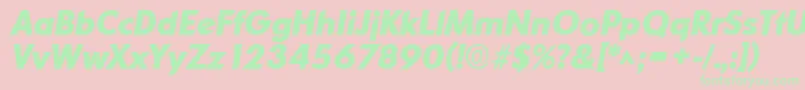 OrnitonslhBoldItalic Font – Green Fonts on Pink Background