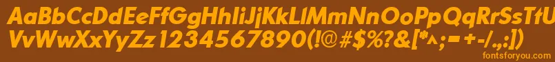 OrnitonslhBoldItalic Font – Orange Fonts on Brown Background