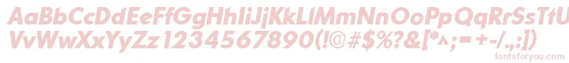 OrnitonslhBoldItalic Font – Pink Fonts