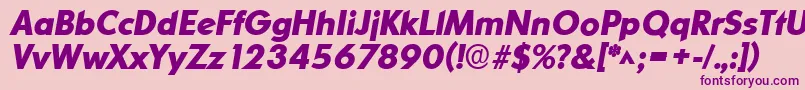 OrnitonslhBoldItalic Font – Purple Fonts on Pink Background