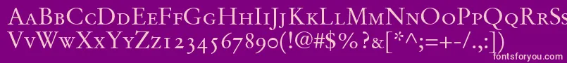 StempelGaramondRomanSmallcapsOldstyleFigures Font – Pink Fonts on Purple Background