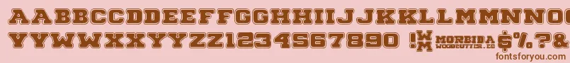 Morbida Font – Brown Fonts on Pink Background