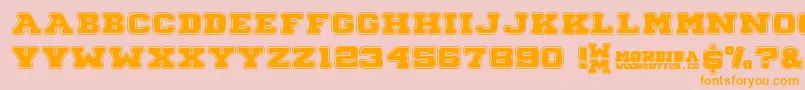 Morbida Font – Orange Fonts on Pink Background