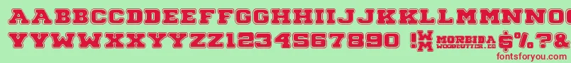 Morbida Font – Red Fonts on Green Background