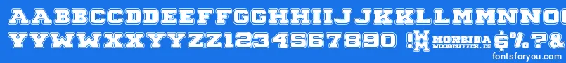 Morbida Font – White Fonts on Blue Background