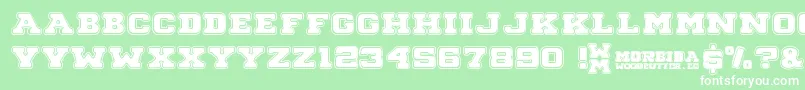 Morbida Font – White Fonts on Green Background