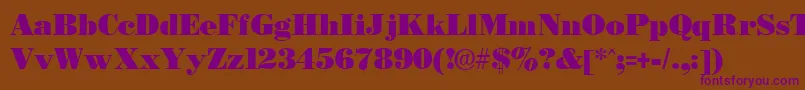 BostonblackRegular Font – Purple Fonts on Brown Background