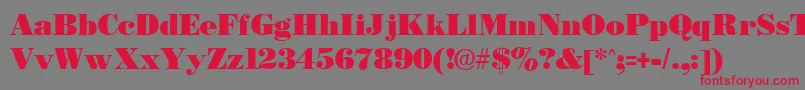 BostonblackRegular Font – Red Fonts on Gray Background