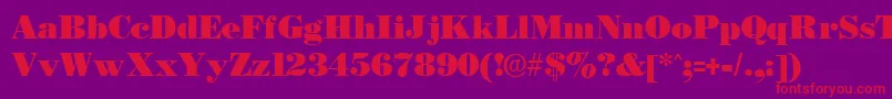 BostonblackRegular Font – Red Fonts on Purple Background