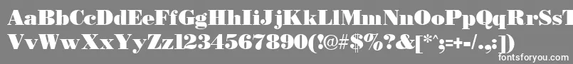 フォントBostonblackRegular – 灰色の背景に白い文字