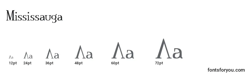 Размеры шрифта Mississauga