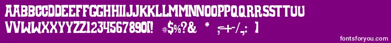WhiskeytownSober Font – White Fonts on Purple Background