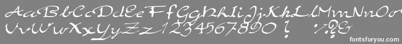 ElegantHandScript Font – White Fonts on Gray Background