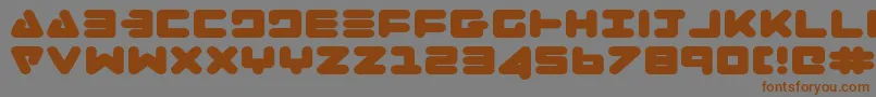 Zealote-fontti – ruskeat fontit harmaalla taustalla
