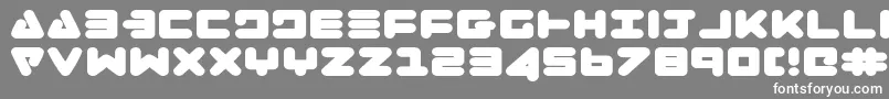 フォントZealote – 灰色の背景に白い文字