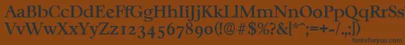 フォントCasablancaserialMediumRegular – 黒い文字が茶色の背景にあります