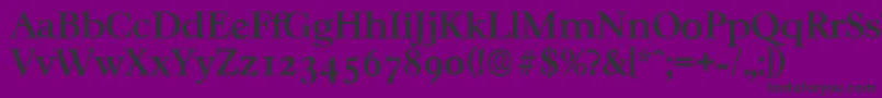 フォントCasablancaserialMediumRegular – 紫の背景に黒い文字