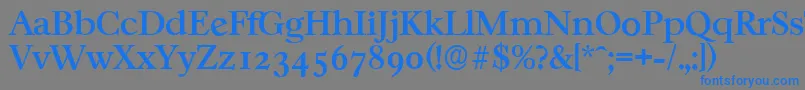 CasablancaserialMediumRegular Font – Blue Fonts on Gray Background