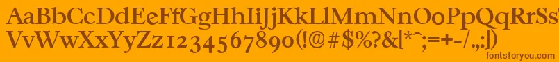 CasablancaserialMediumRegular Font – Brown Fonts on Orange Background