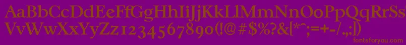 CasablancaserialMediumRegular-Schriftart – Braune Schriften auf violettem Hintergrund